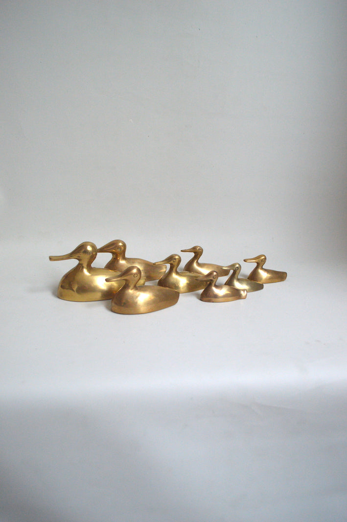 suite de canards en laiton