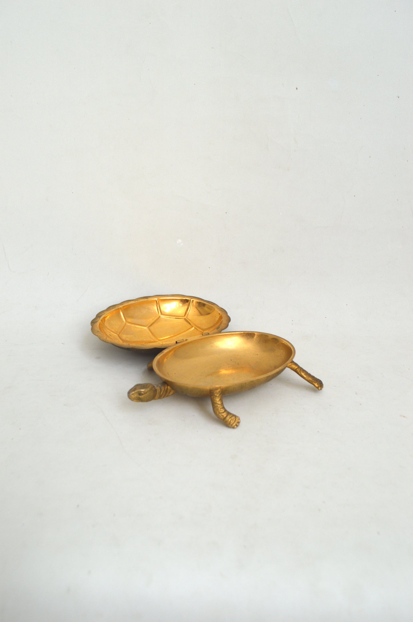 Boîte Tortue