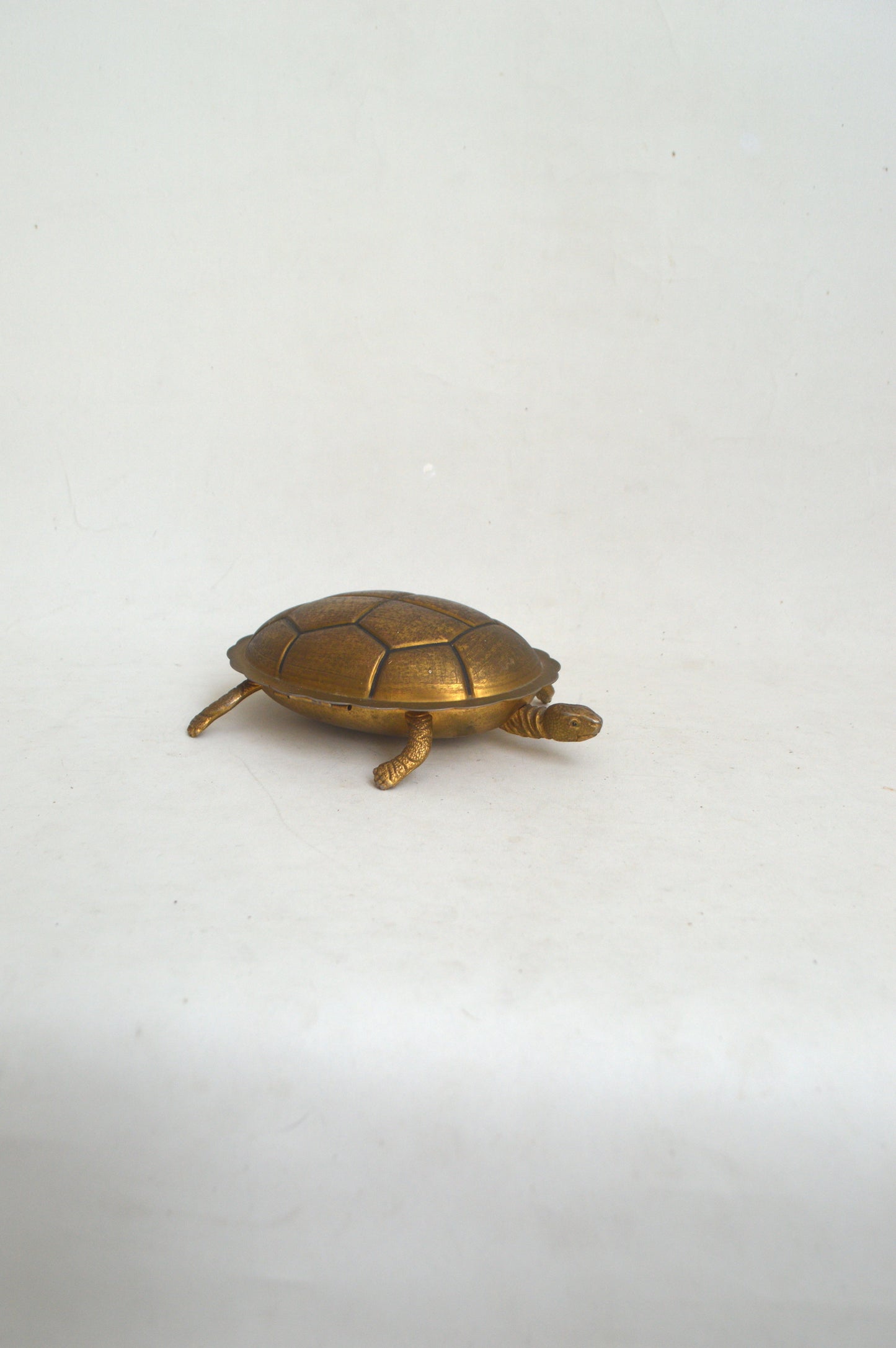 tortue-déco