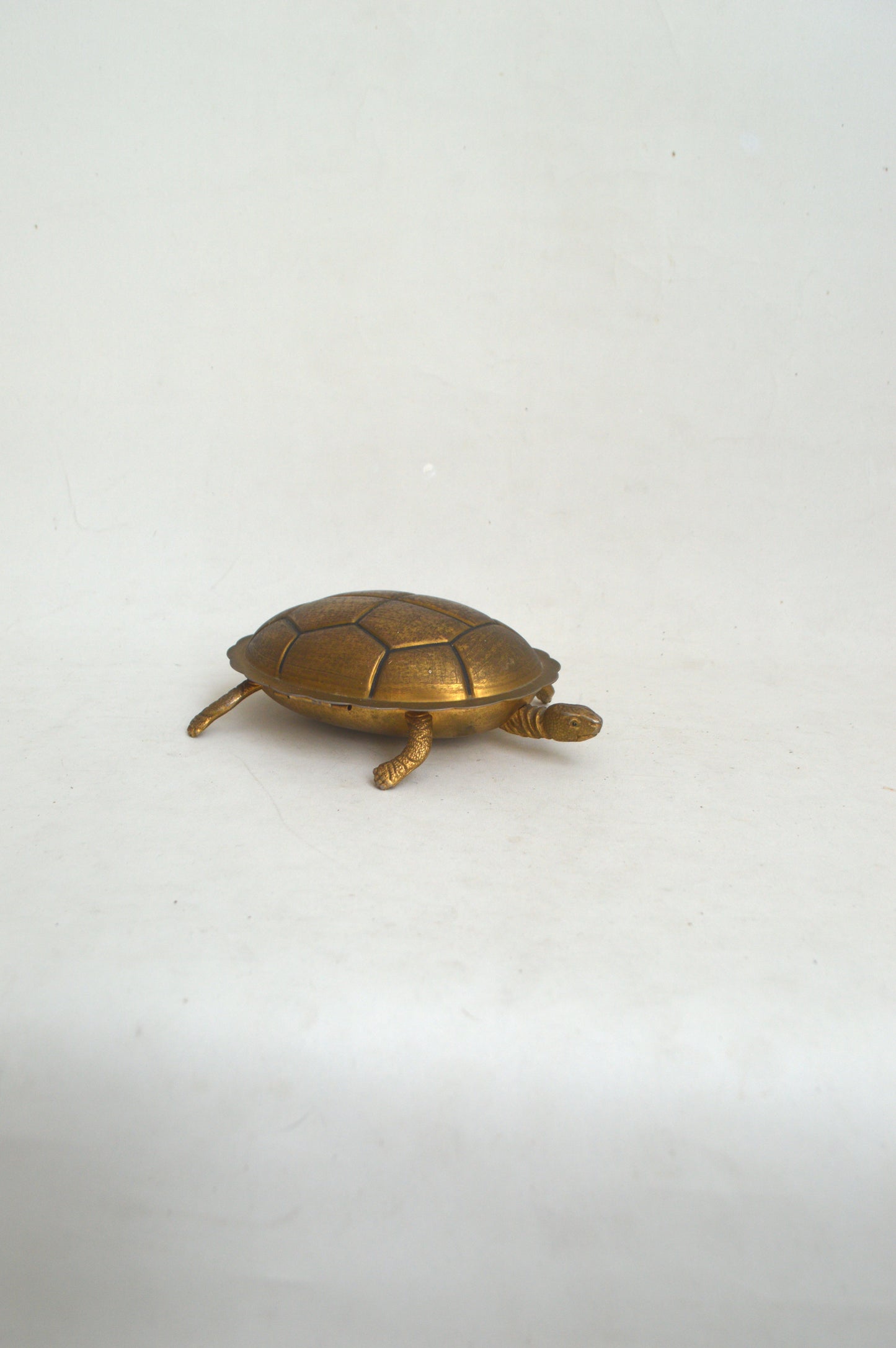 Boîte Tortue