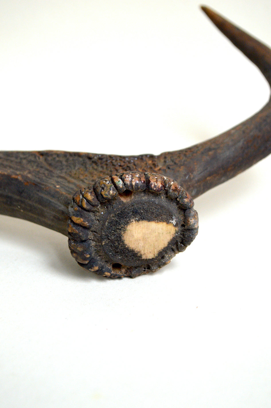 Bois de Cerf