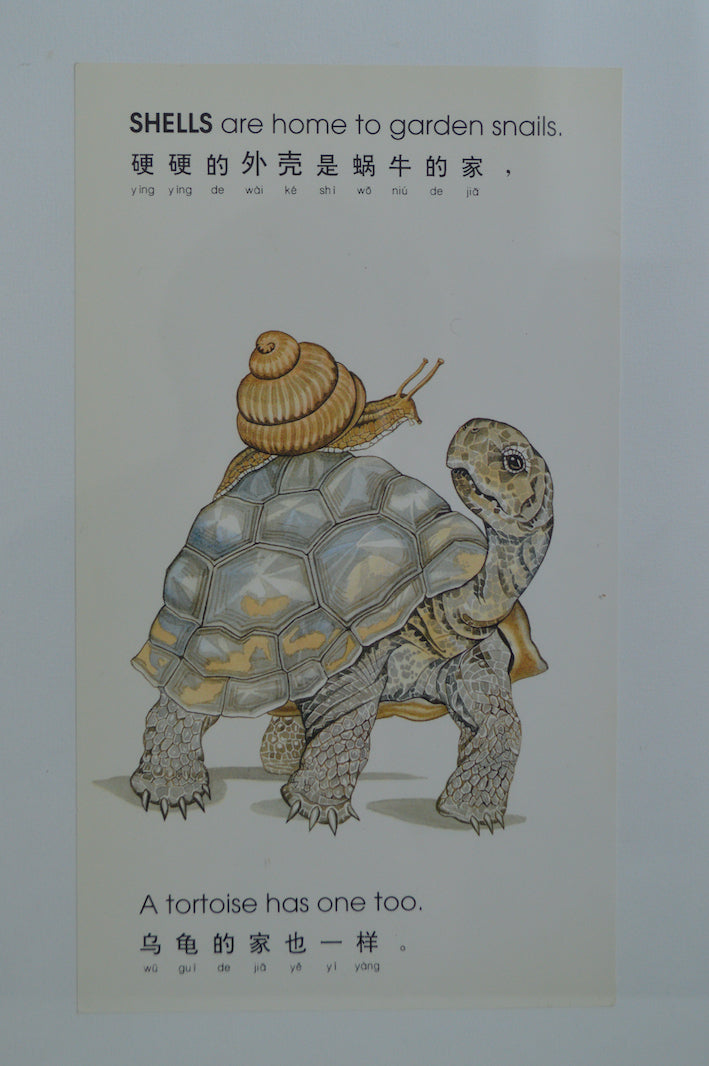 Cadre l'Escargot et la Tortue