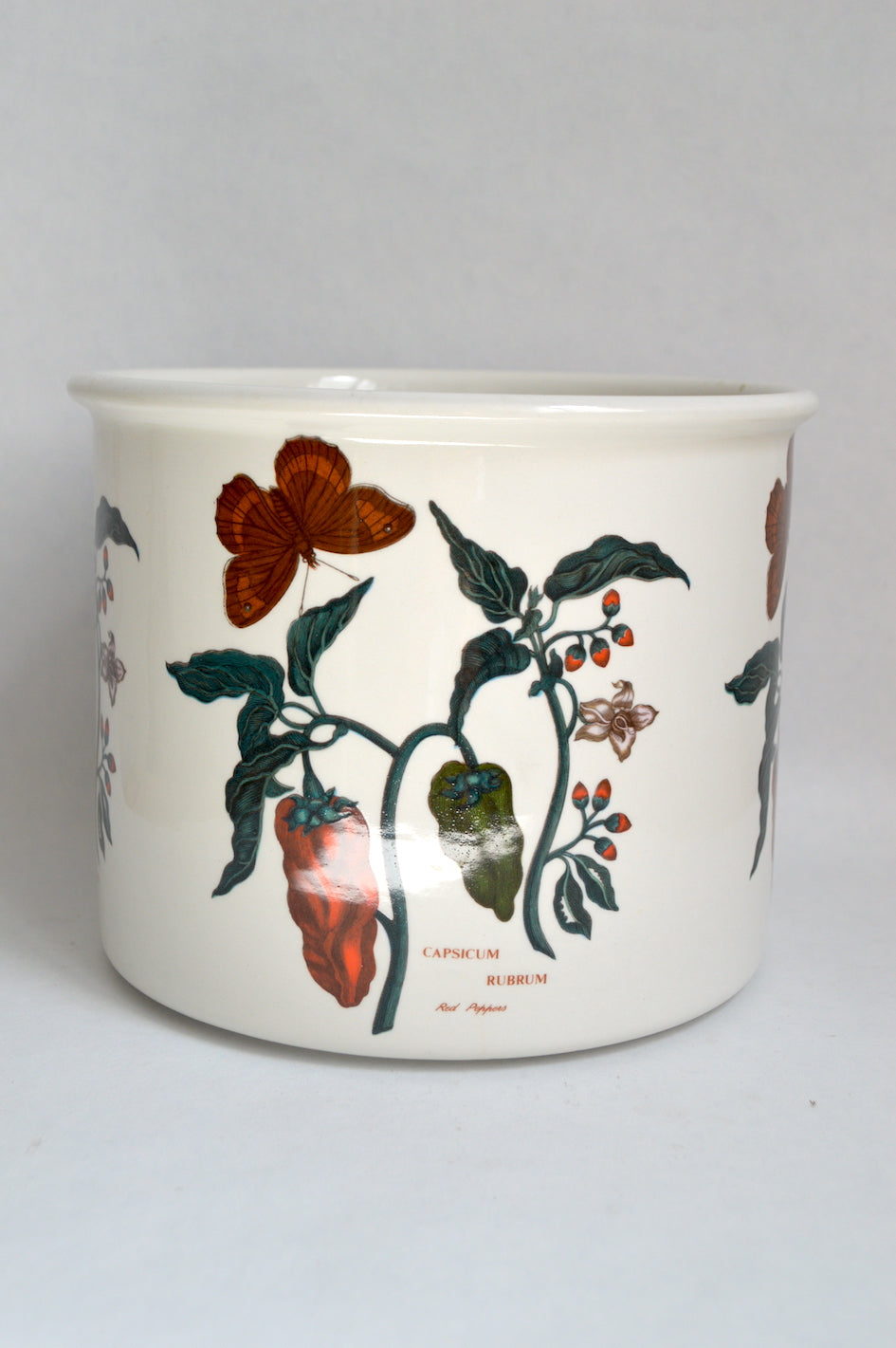 Cache-pot botanique