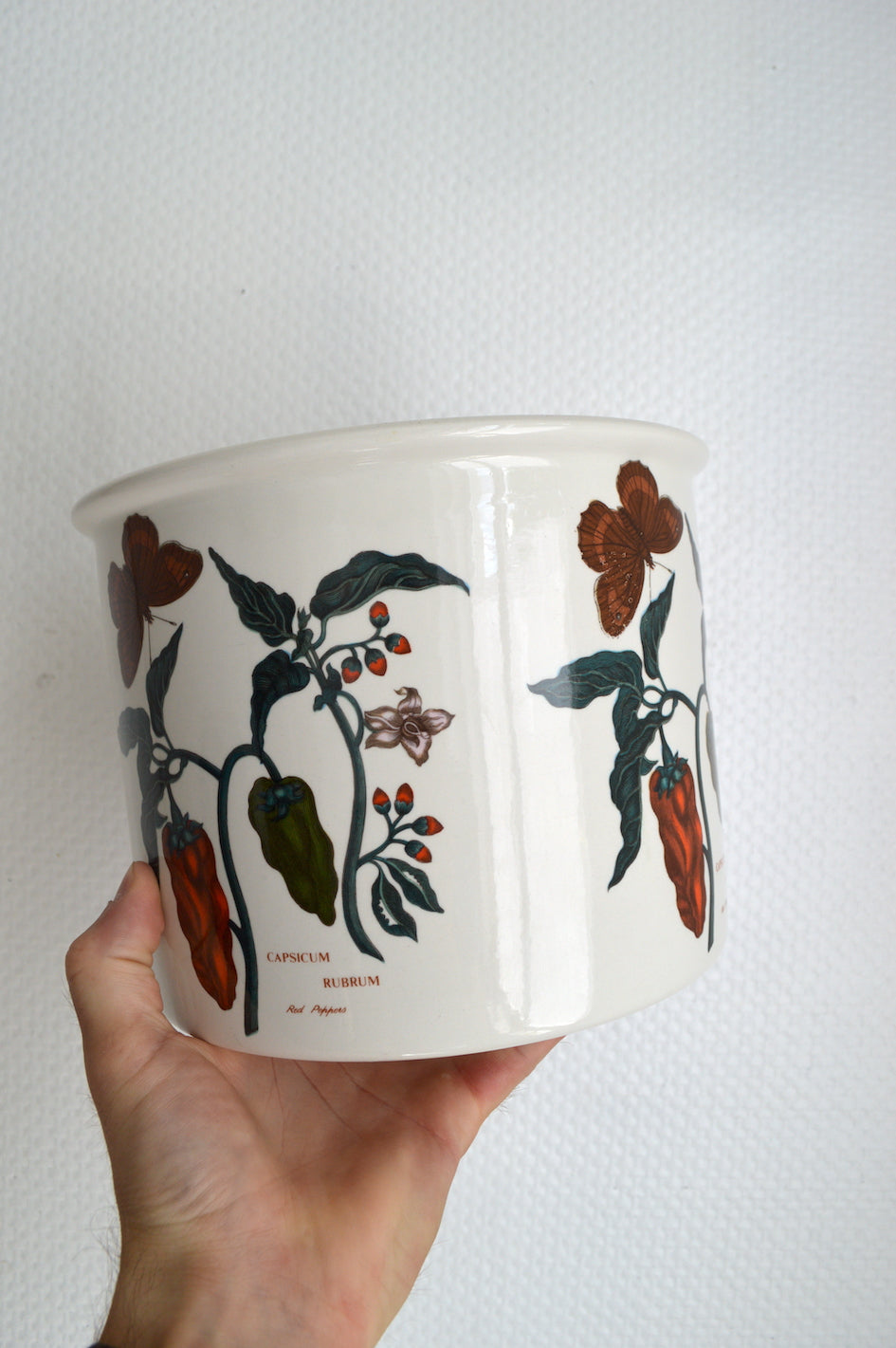 Cache-pot botanique