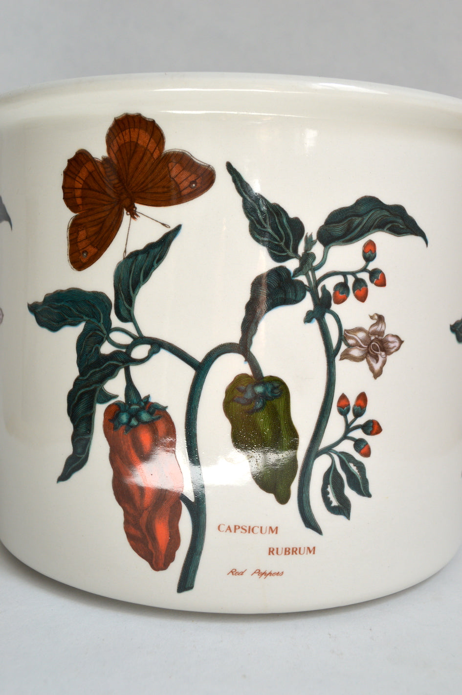 Cache-pot botanique