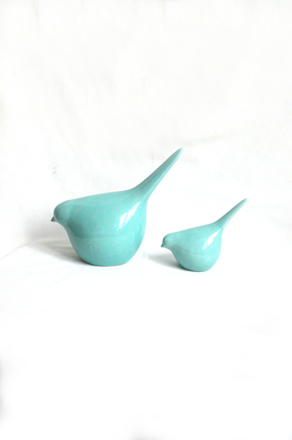 Duo d'oiseaux bleus