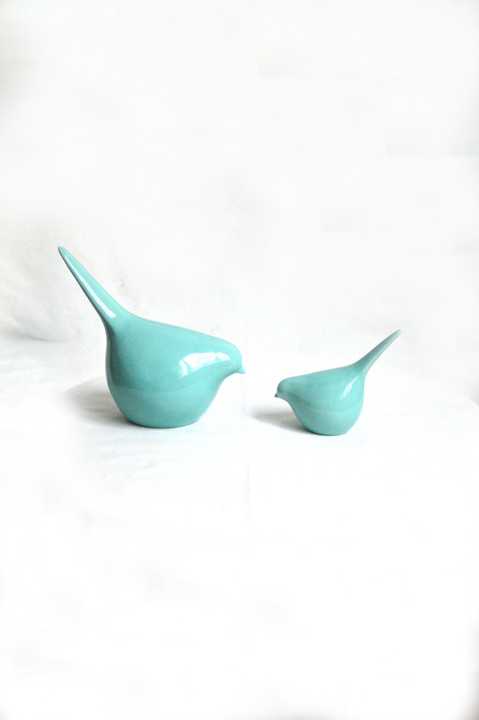 Duo d'oiseaux bleus