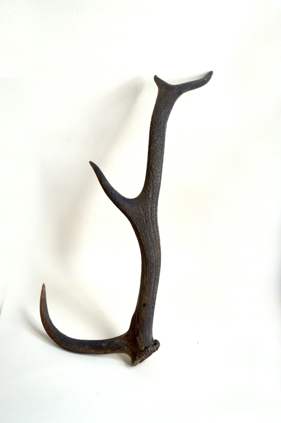 porte manteau bois de cerf