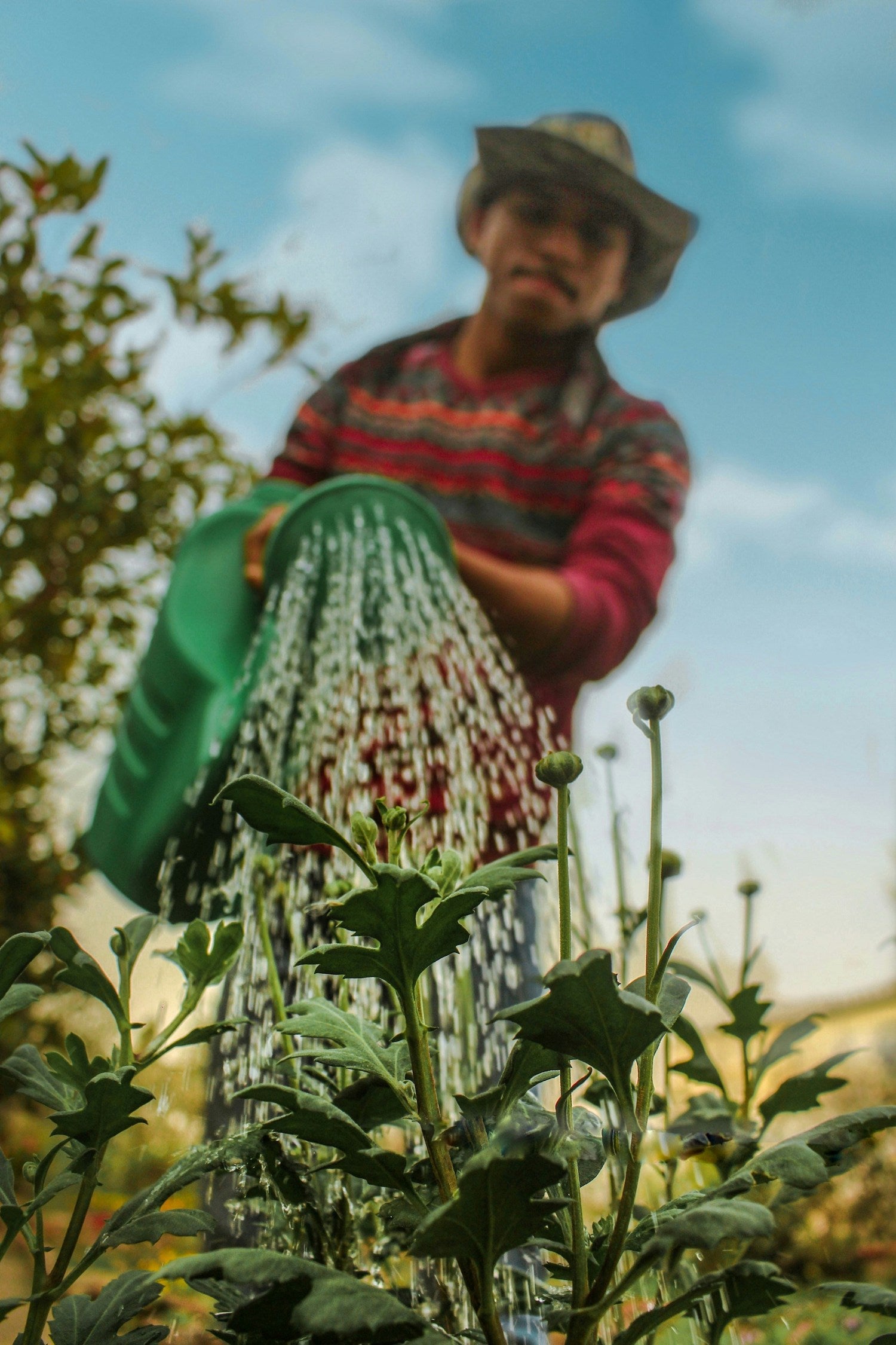 objet-décoratif-pour-le-jardin