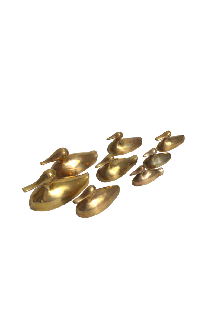 canards en laiton