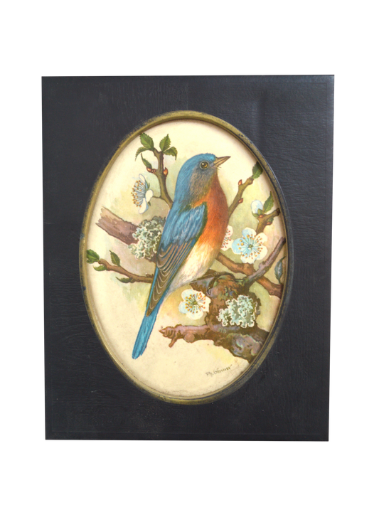 Cadre oiseau