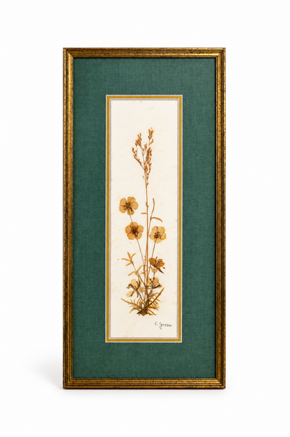 Cadre de fleurs séchées