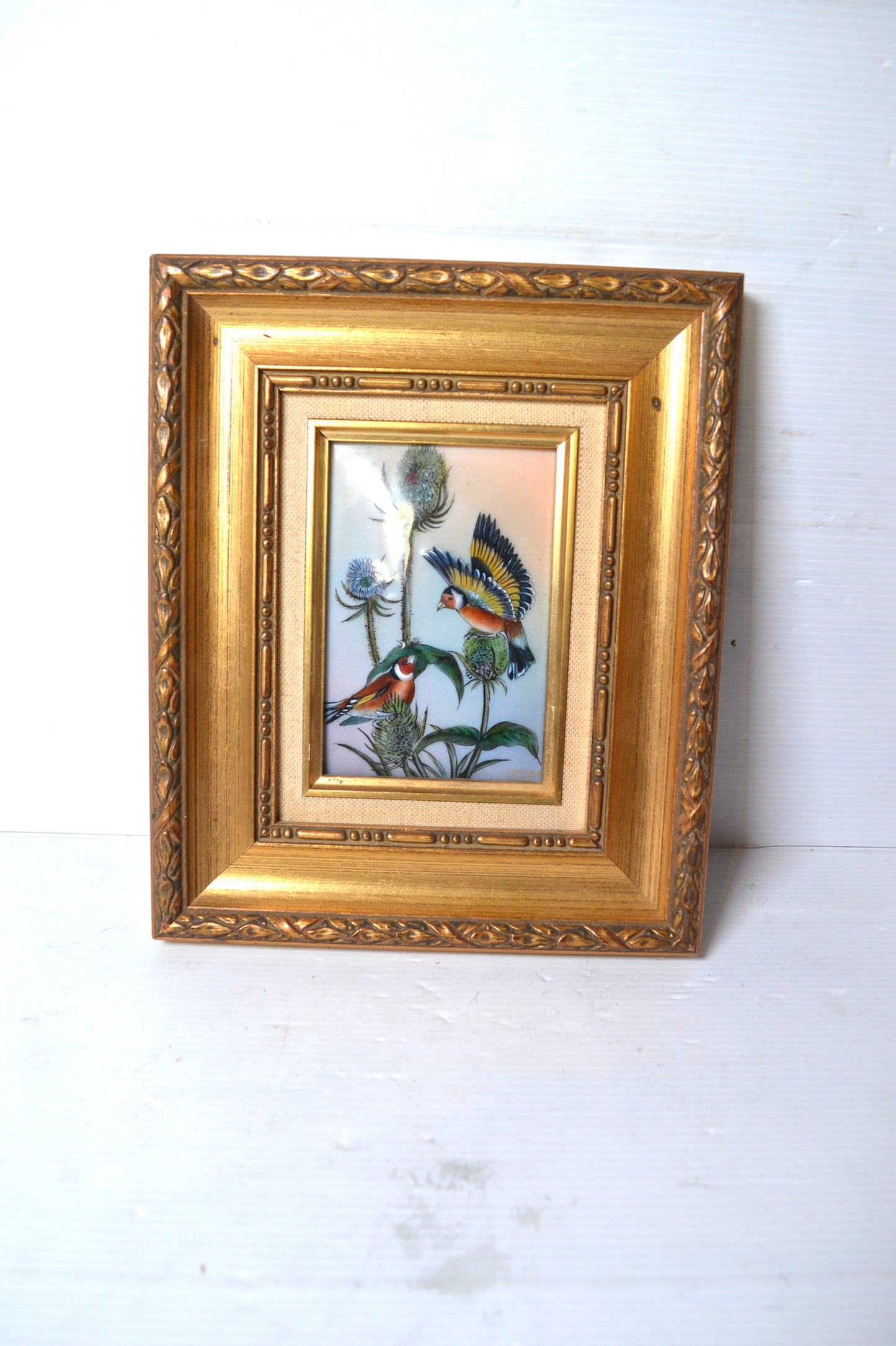 Cadre Oiseaux