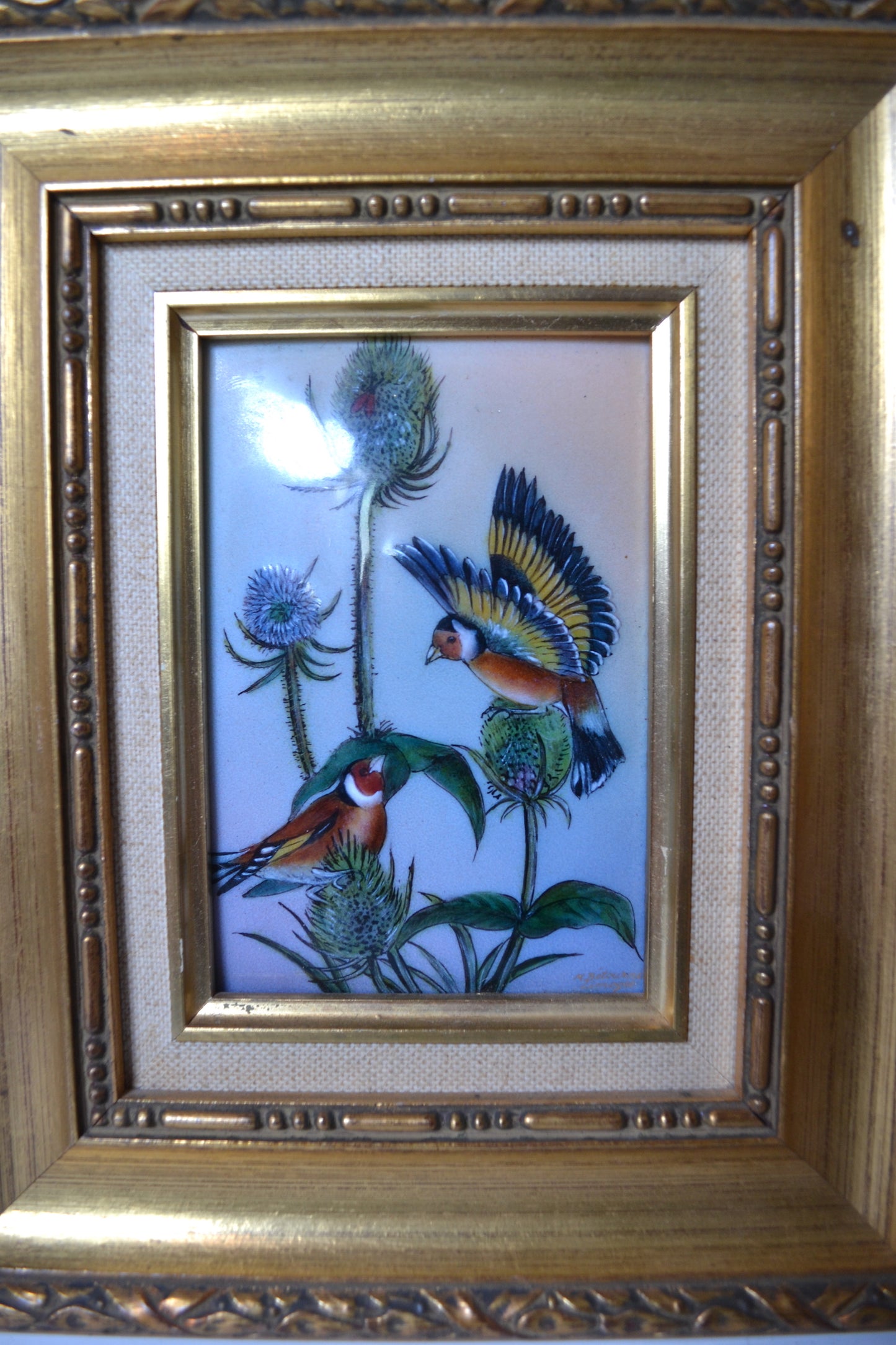 Cadre Oiseaux