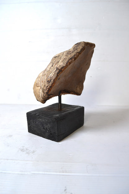 Champignon sur socle