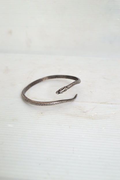 Jonc Serpent