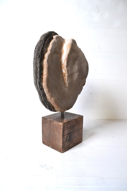 Champignon sur socle