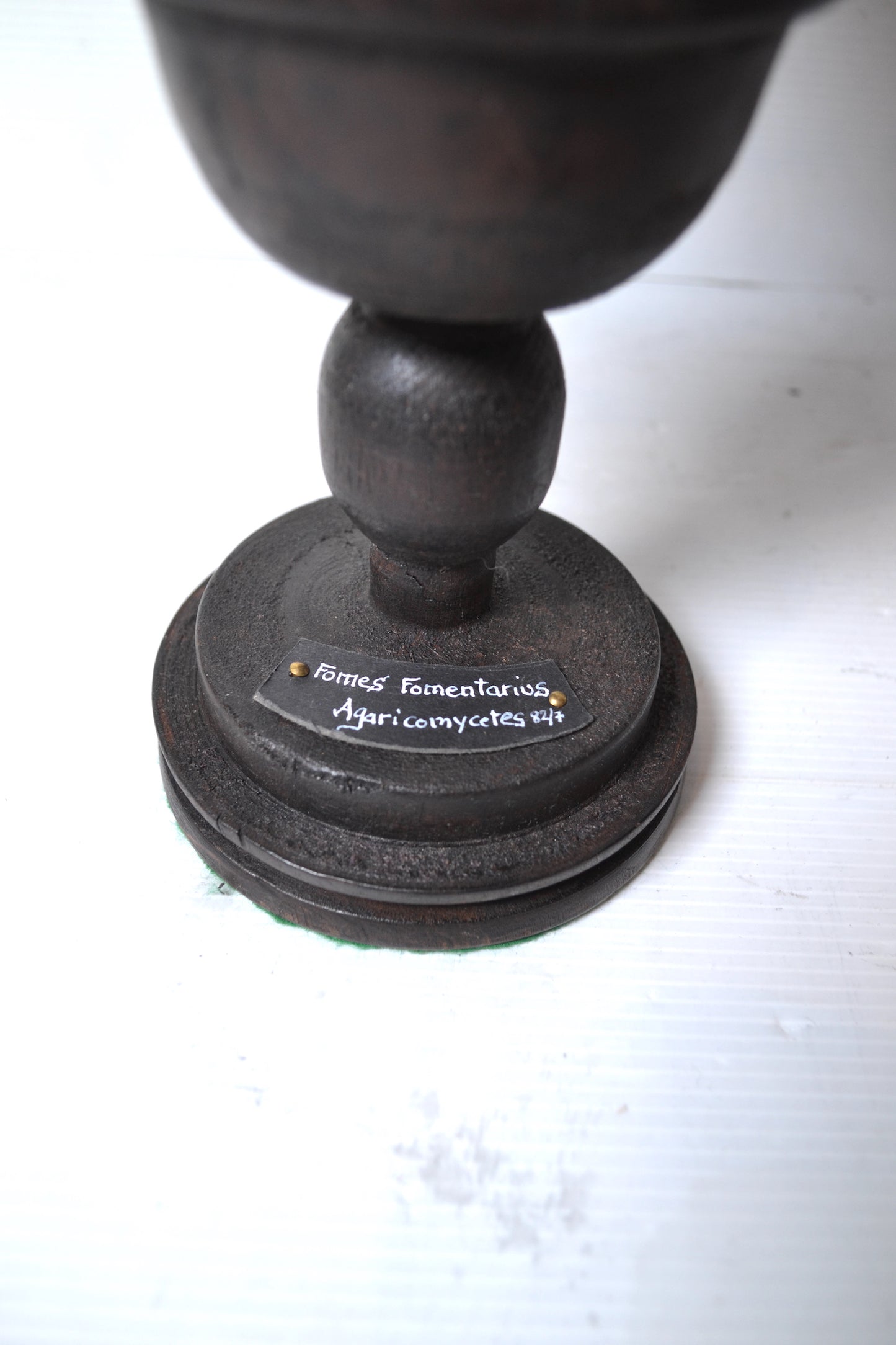 Champignon sur socle
