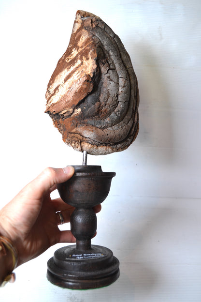 Champignon sur socle