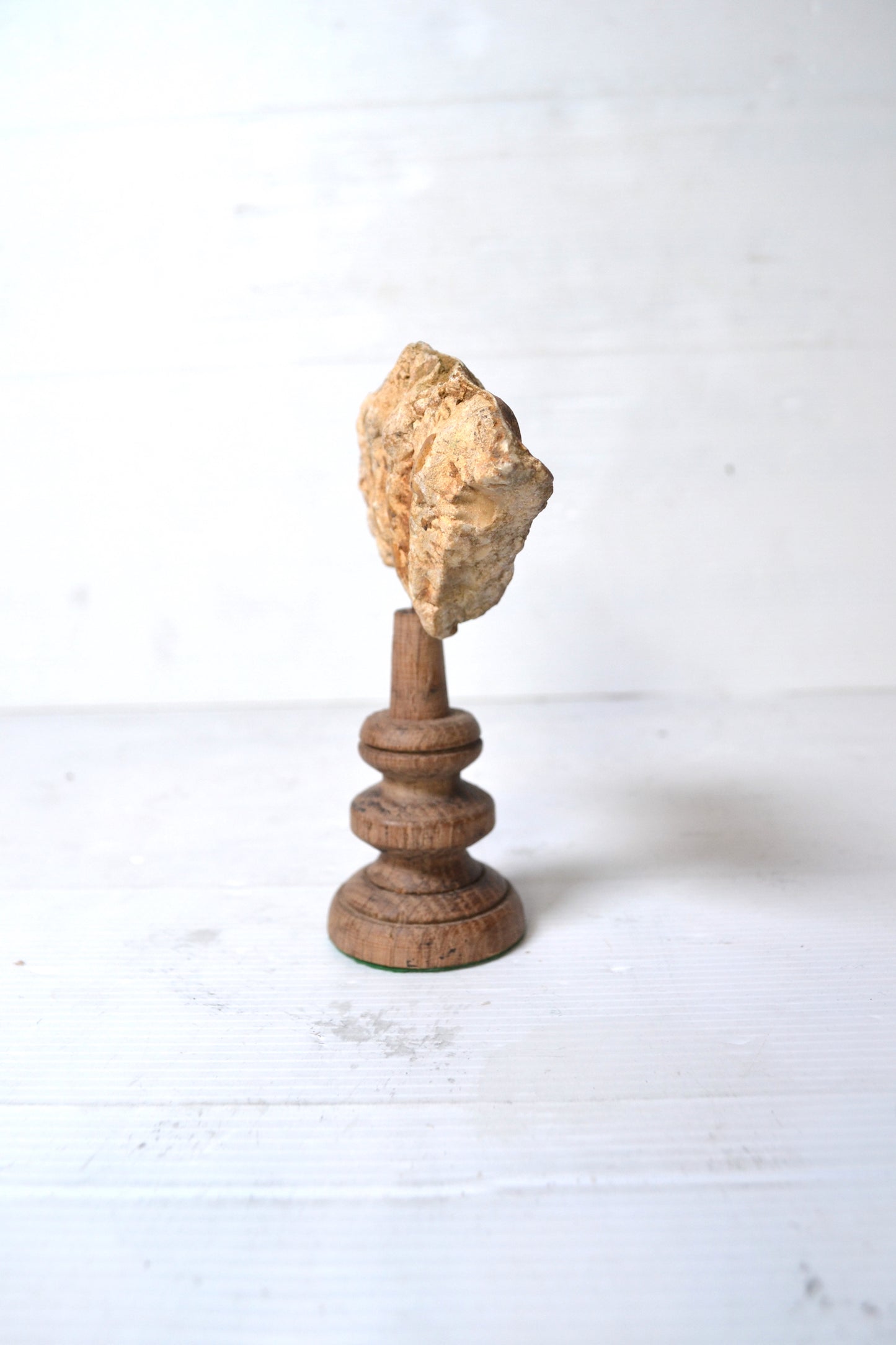 Ammonite sur socle