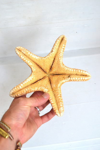 Étoile de mer
