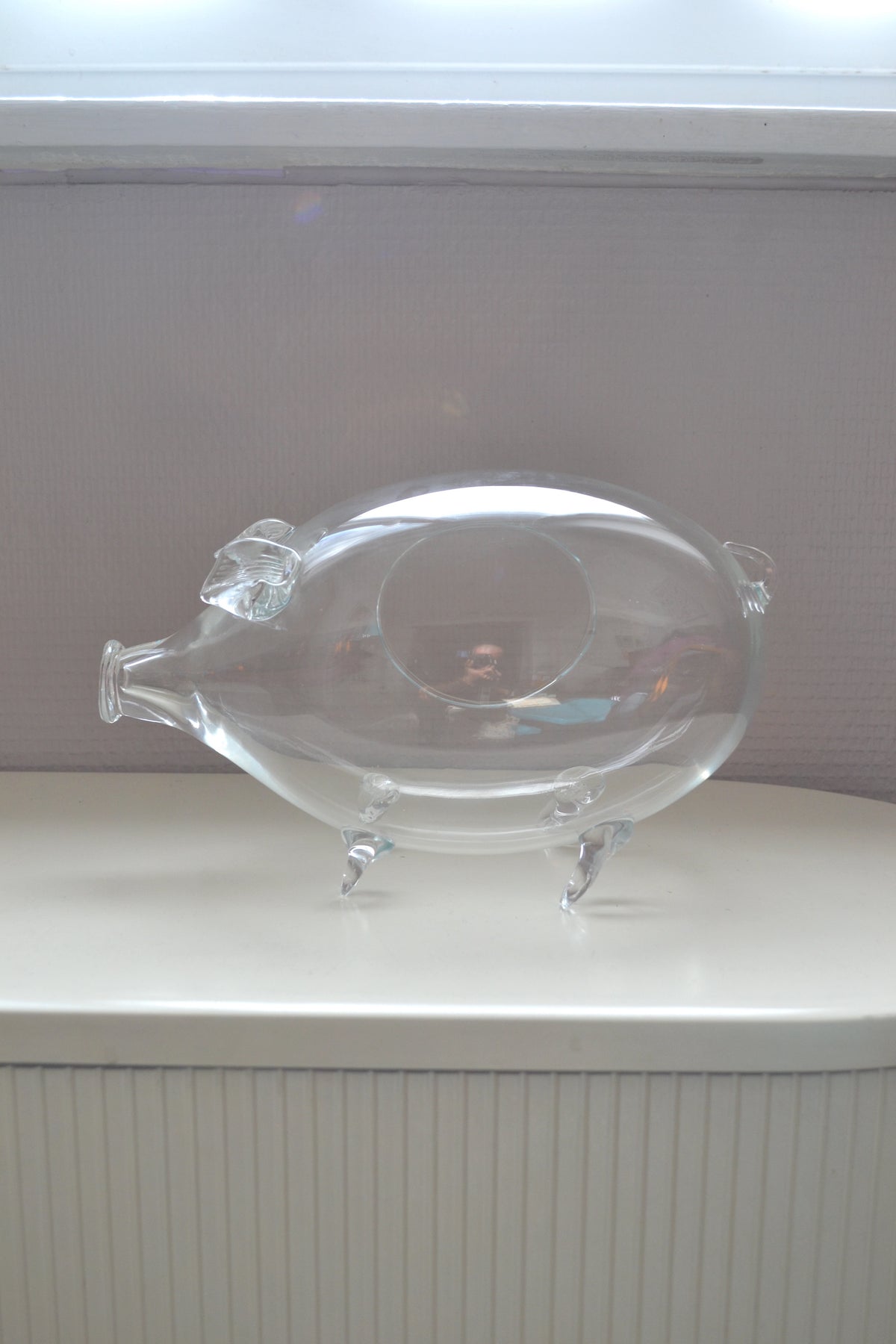 Terrarium en verre