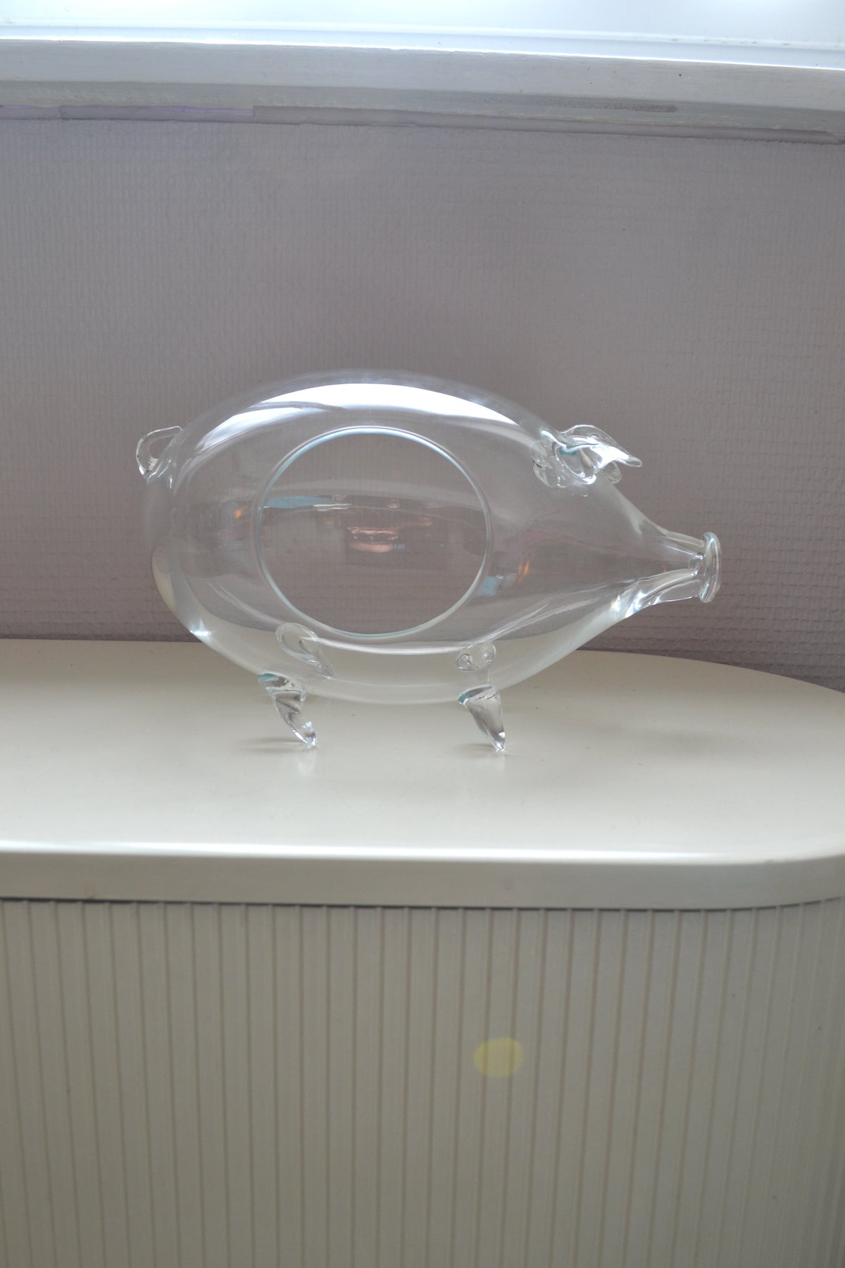 Terrarium en verre