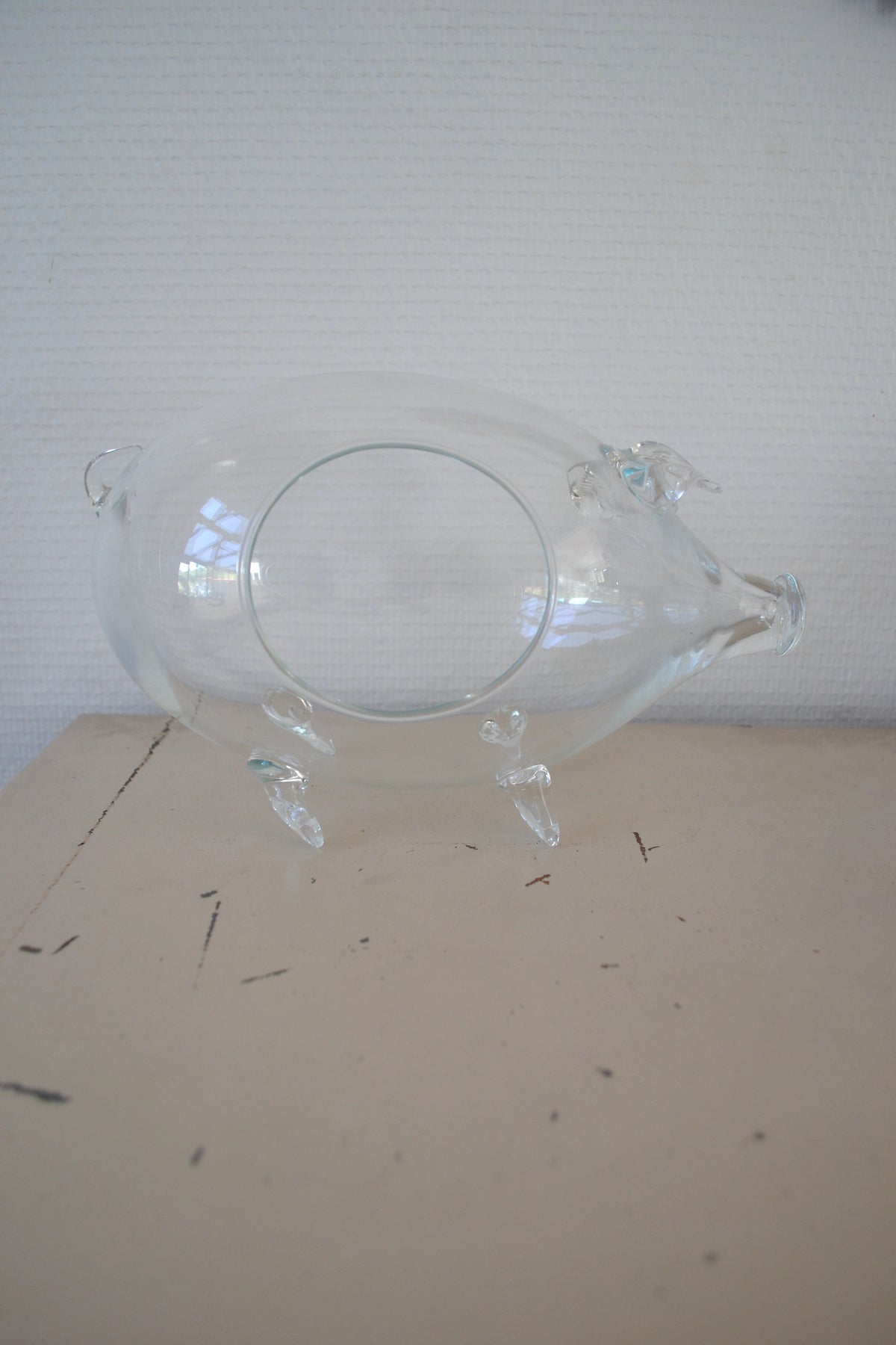 Terrarium en verre