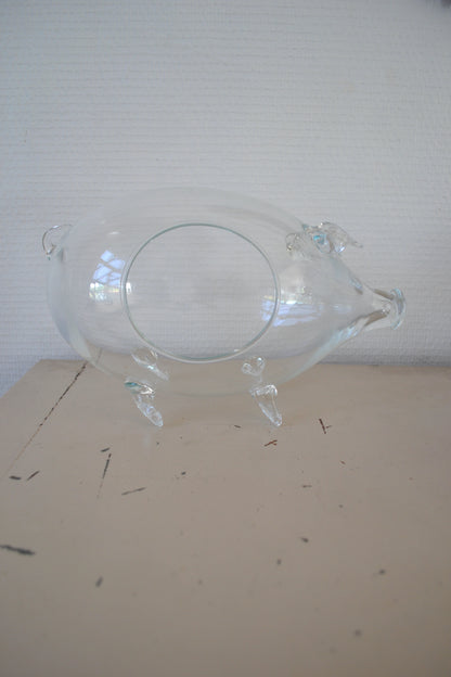 Terrarium en verre