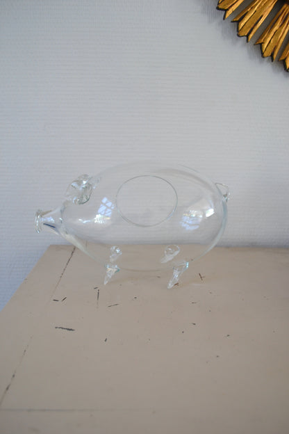 Terrarium en verre