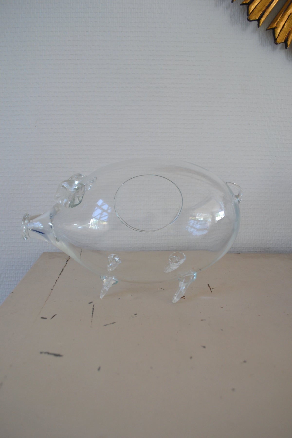 Terrarium en verre
