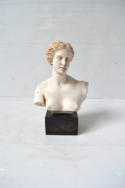 Buste de Venus