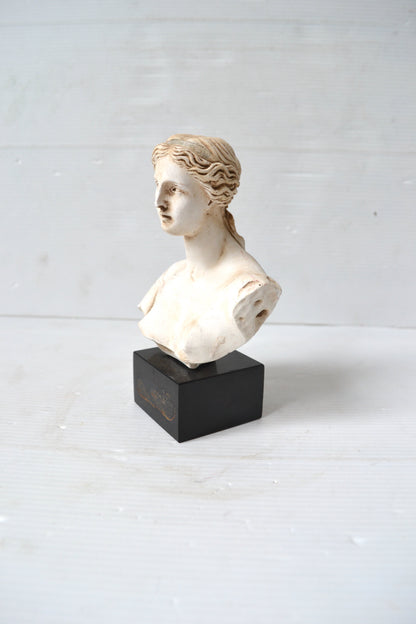 Buste de Venus
