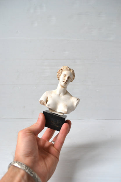 Buste de Venus
