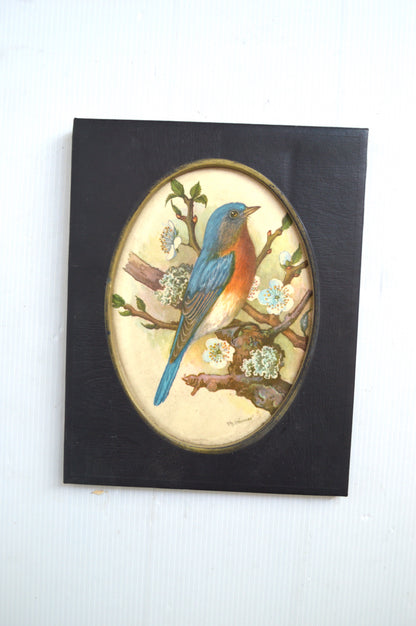 Cadre oiseau