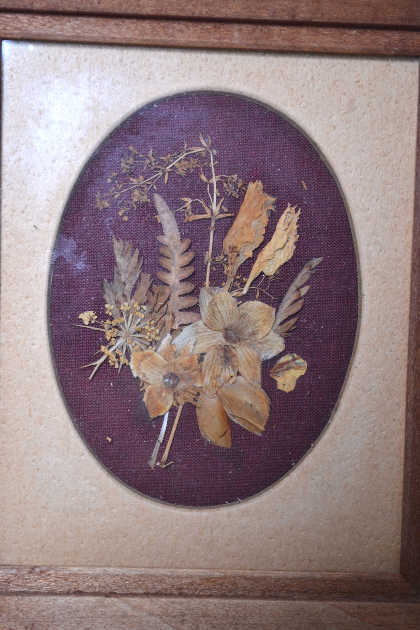 Cadre de fleurs séchées