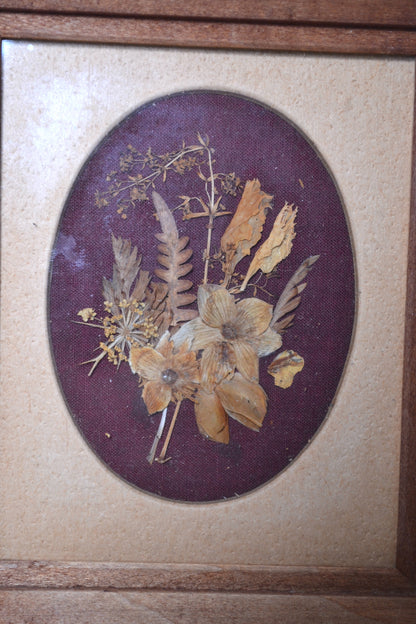 Cadre de fleurs séchées