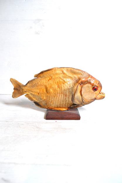 Piranha