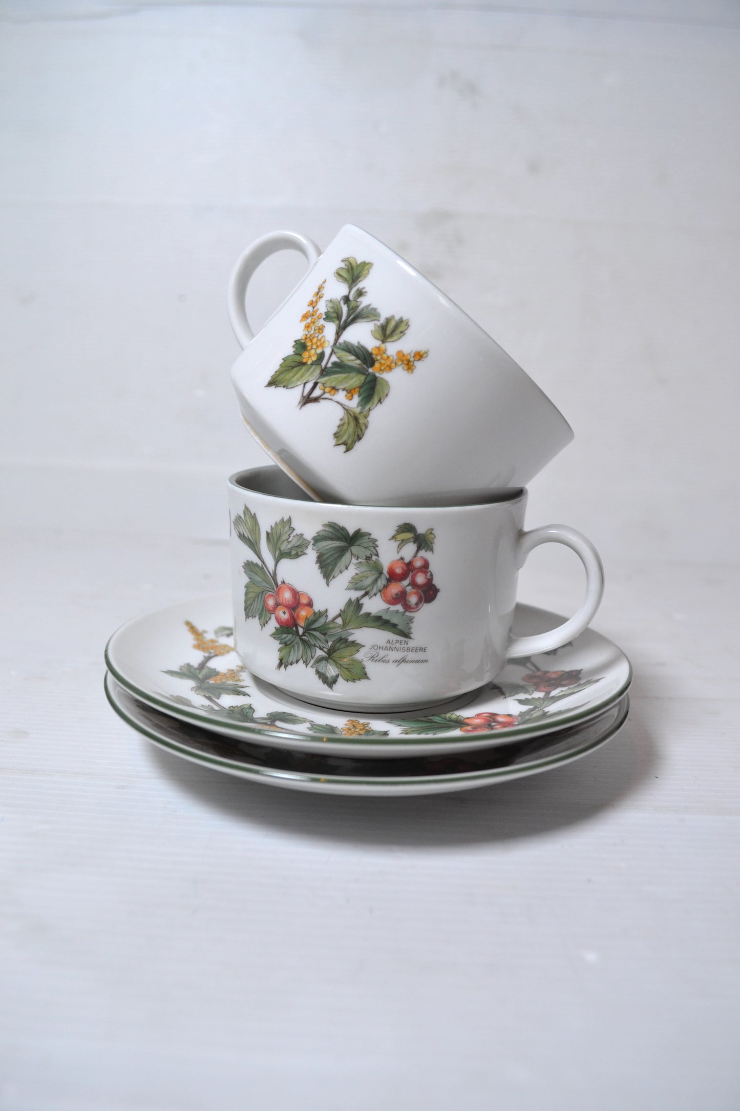 Tasses à café West Germany motif botanique