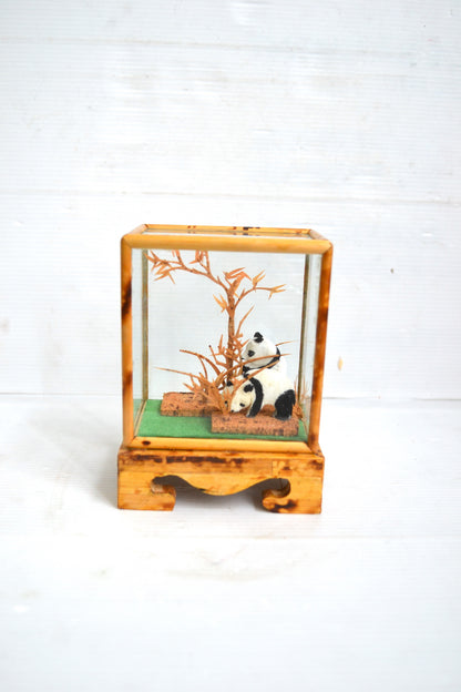 Vitrine Pandas