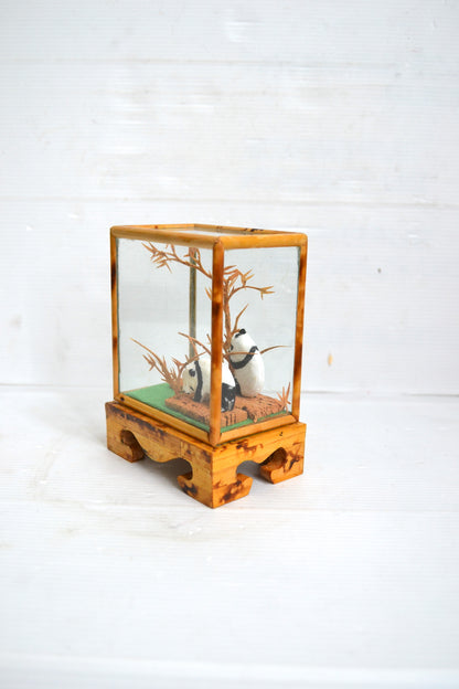 Vitrine Pandas
