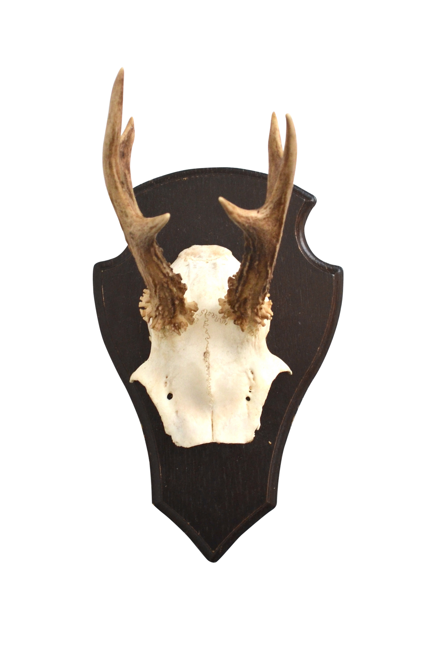 Trophée