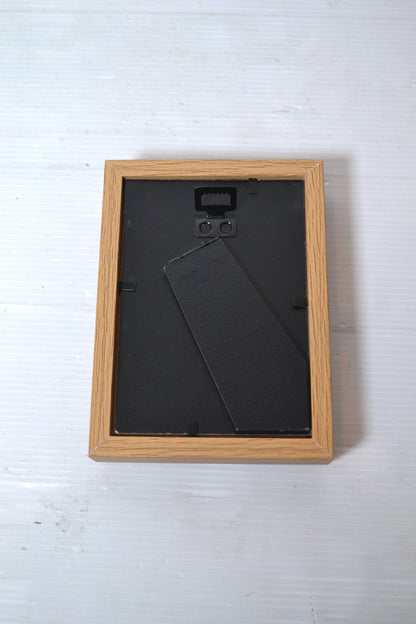 Cadre papillon naturalisé