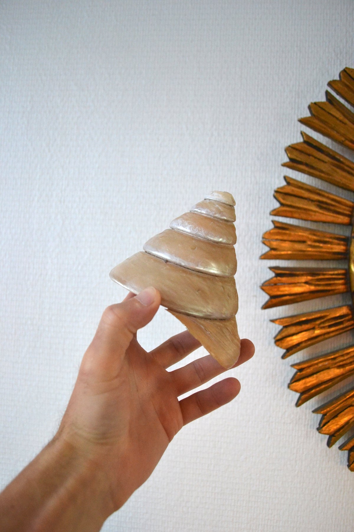 Coquillage Nacré