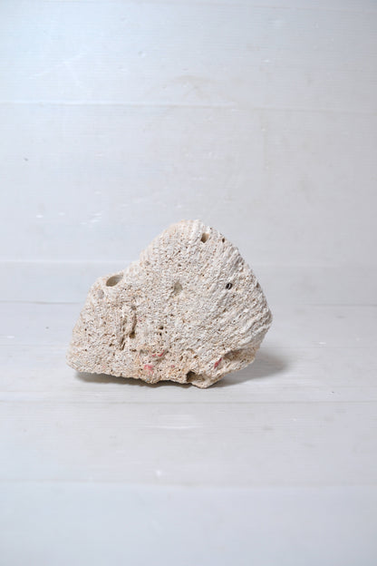 Corail Blanc