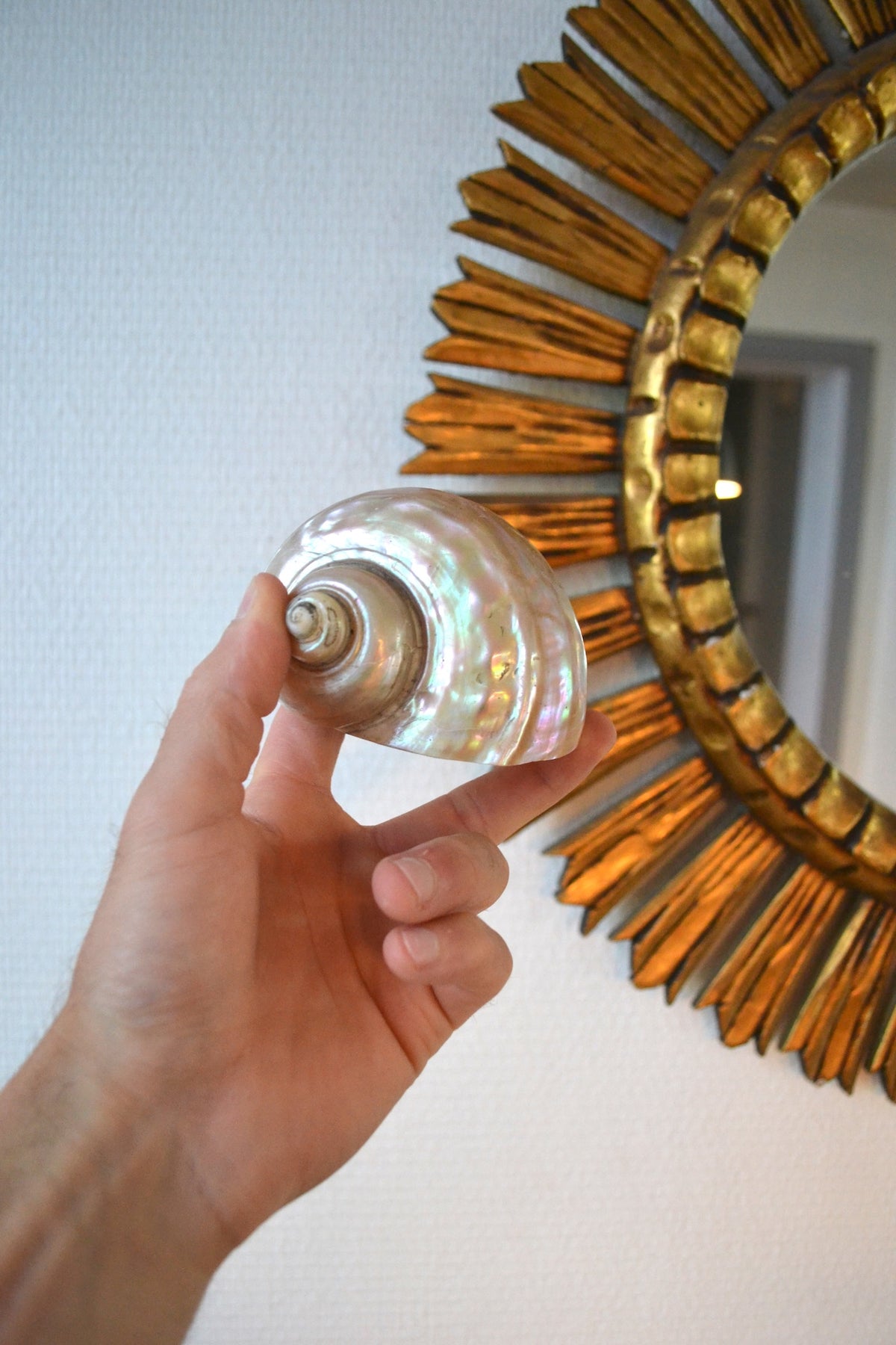 Coquillage Nacré