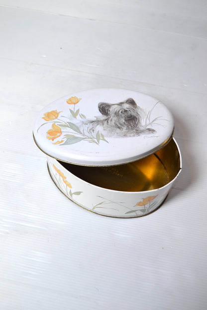 Boîte en fer