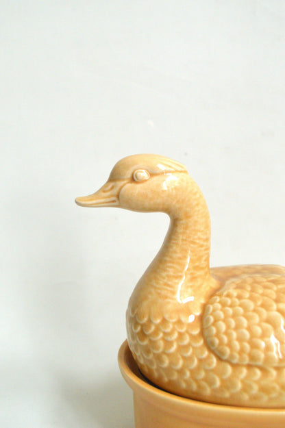 Terrine canard
