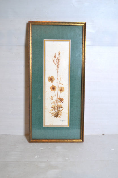 Cadre de fleurs séchées