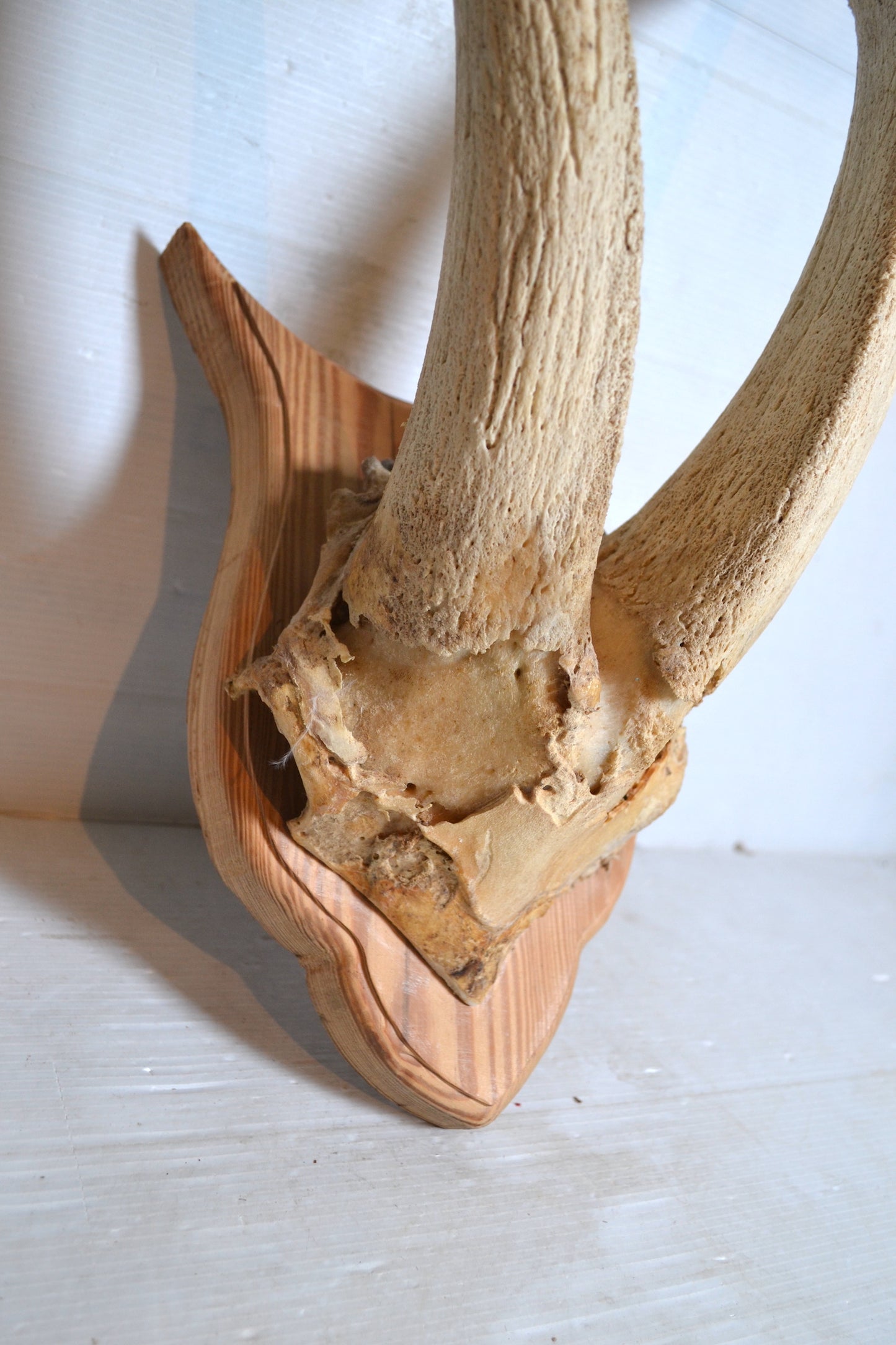 Trophée